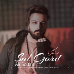 دانلود آهنگ علی سلطانی سالگرد با کیفیت 320